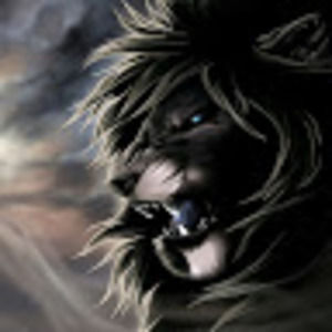 Meet your Posher, Spencer